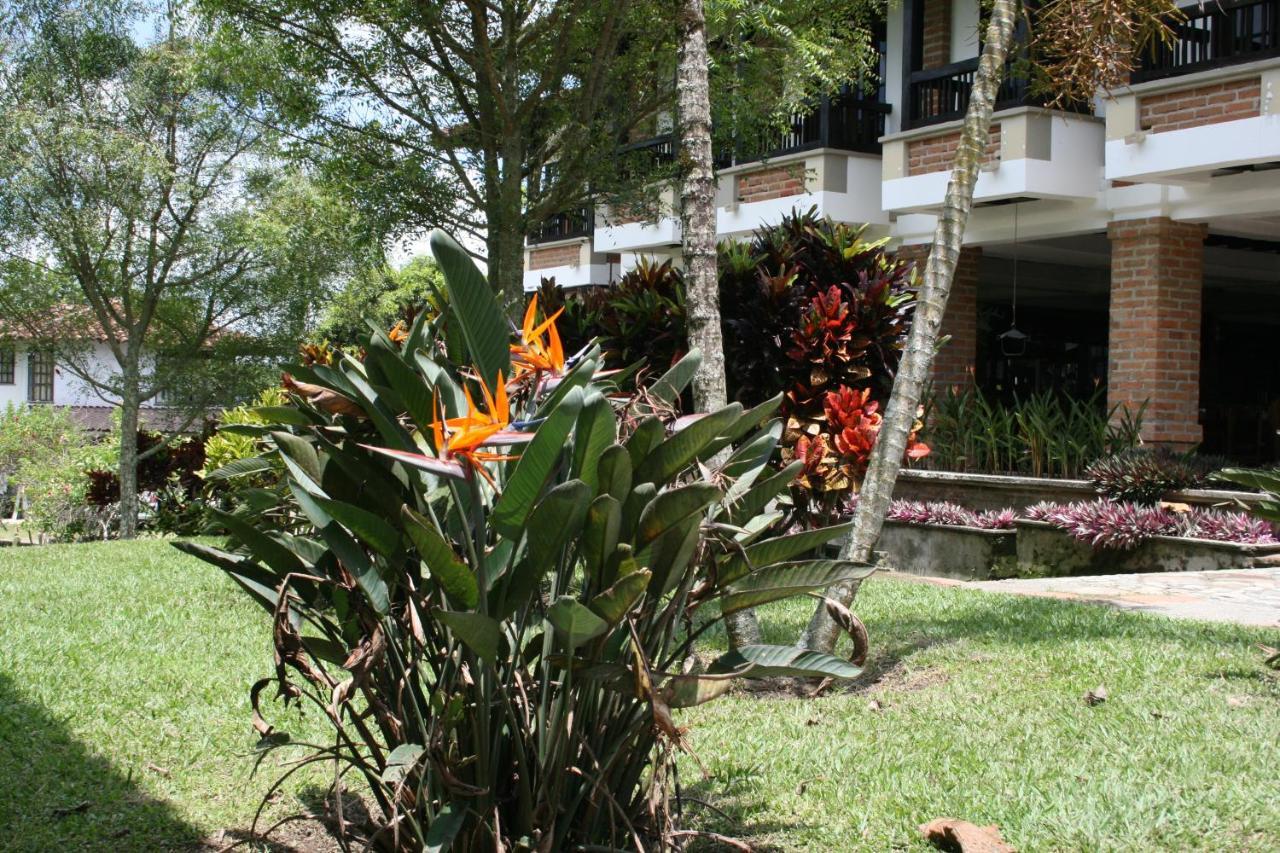 Finca Hotel La Esperanza Montenegro Bagian luar foto